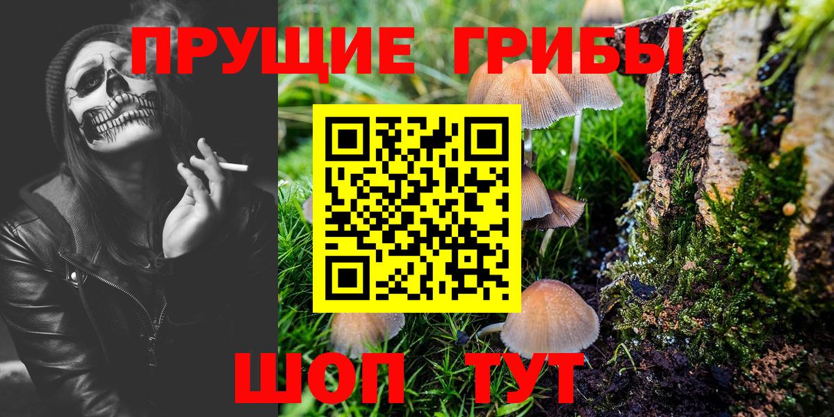 Псилоцибиновые грибы Cubensis Десногорск