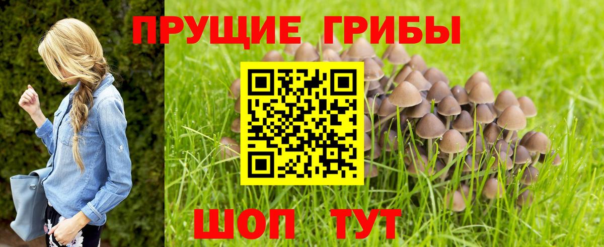 Галлюциногенные грибы Magic Shrooms  Вход с VPN  Десногорск 